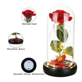 Beauty and The Beast Rose Set-The Best Holiday Surprise Gift for Mothers, Beautifully Decorated with Red Silk Roses, LED Lights, Dome Glass and Wooden Base (Black Base)