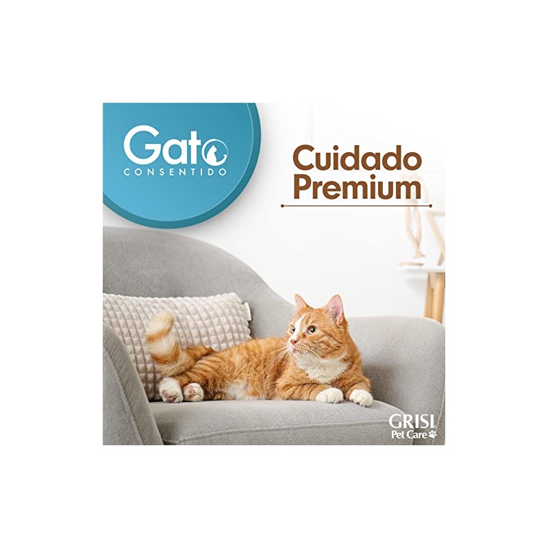 Gato Consentido - Foam de Limpieza en Seco, Shampoo en