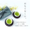 Gyokuro TE-85 Tea Bag, YaME-CHA, Green Tea, 0.1 oz (3
