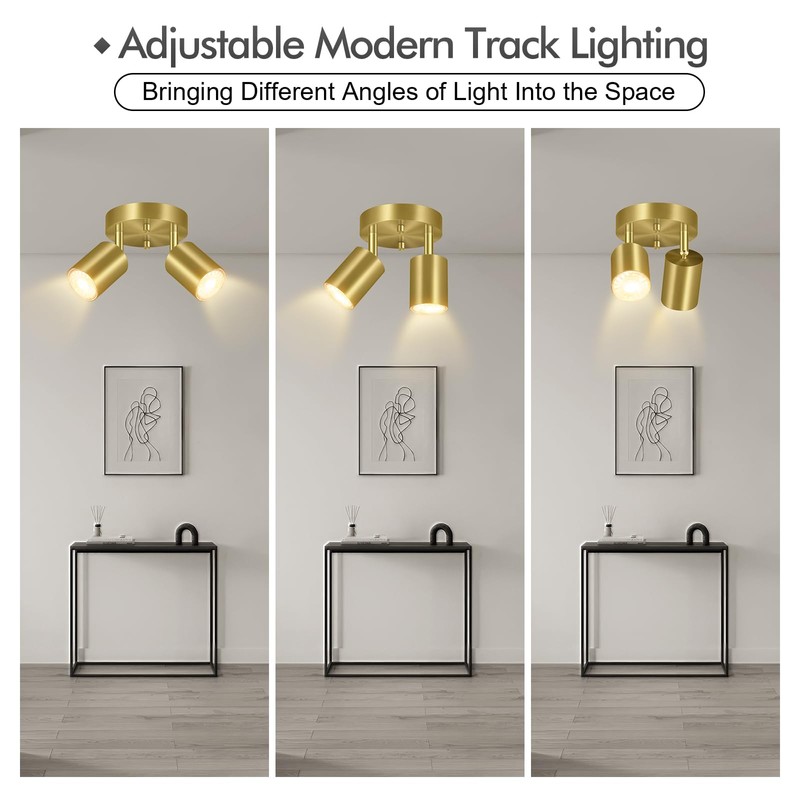 2 Light Track Lighting Fixtures Ceiling, Gold Round Directional Ceiling