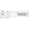100 x MEISTERLING® Facade Screws INOX V4A 5.5 x 55