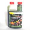 Cloverleaf FA250/12 Fungal Answer, 250ml, Clear, 26x6x14 cm
