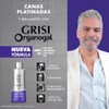 Organogal Grisi, Shampoo Silver para canas y cabellos claros, 400