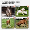 CollarDirect Leather Basket Dog Muzzle for Boxer, English American Bulldog