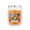 Colony Pumpkin Spice Large Jar, Up to 100hrs