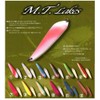 Rodiocraft Spoon M.T.Lakes 87 22g #25 Greature Y