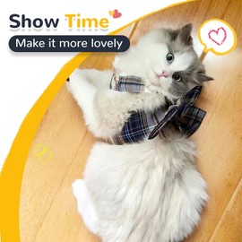 AXIIJGL Small Dog Harness with D-Ring, Soft Mesh, Adjustable - Set Includes Harness and Leash for Puppy Girls