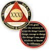 31 Year AA Medallions Sobriety Coin - Alcoholics Anonymous Chips