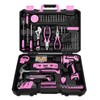 Pink Tool Set: Tool kit with 12V Cordless Drill Set