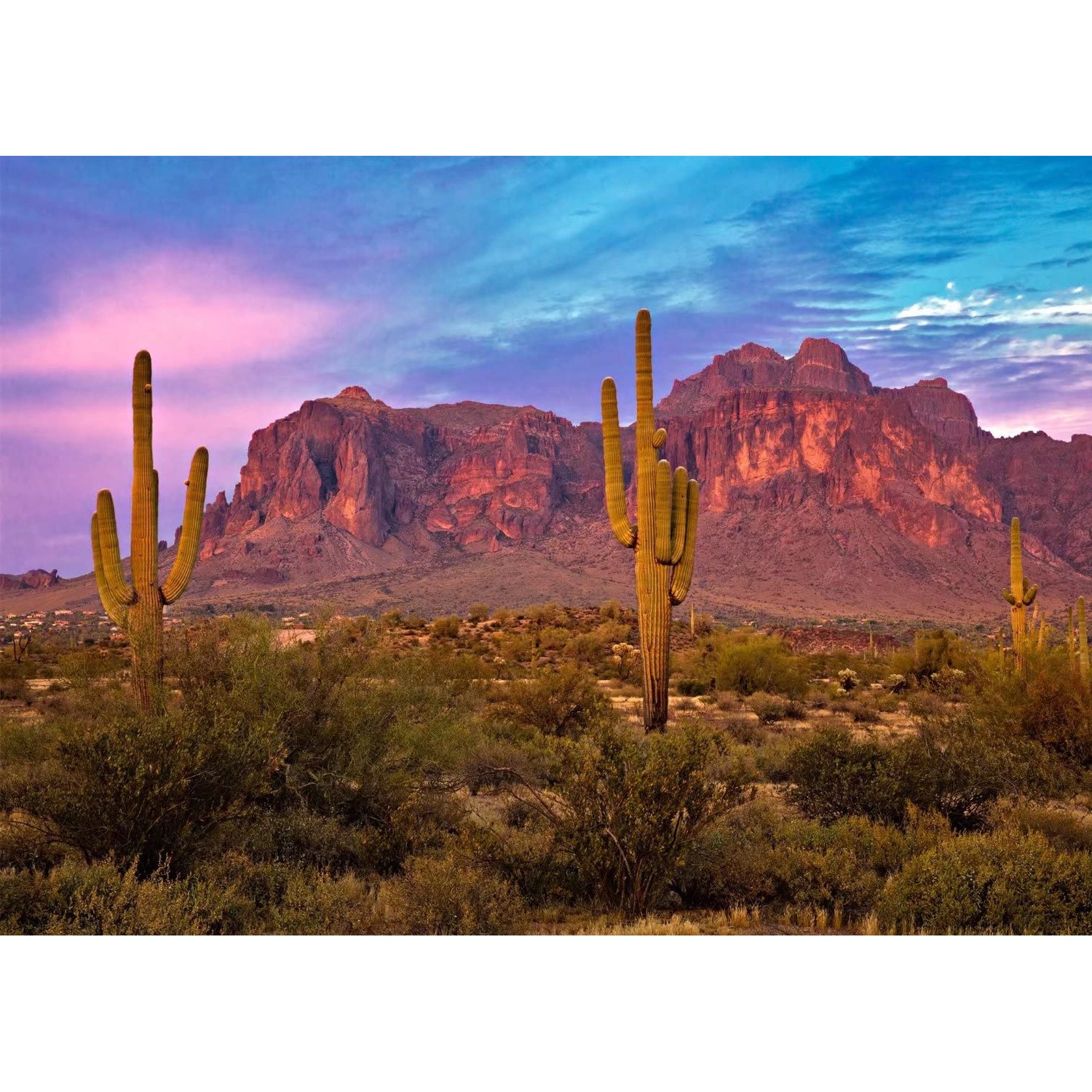 BELECO 8x6ft Fabric Arizona Desert Backdrop for Photography Western ...
