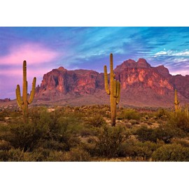 BELECO 8x6ft Fabric Arizona Desert Backdrop for Photography Western Party Decor Blue Sky Sand Dunes Prickly Cactus Saguaro Wilderness Mountain Background Cowboys Children Adult Portrait Photo Shoot