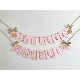 Little Pumpkin Banner - 1st Birthday Party Decor. Pink and Gold Little Pumpkin. First Birthday Decorations. Fall Birthday Decorations.