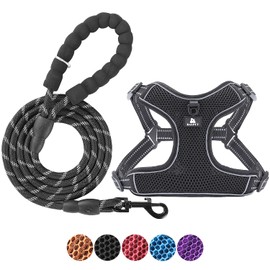 BAAPET Breathable Dog Harness for Small Puppy, Medium Dogs Step-in and Air Mesh with 6 Feet Reflective Rope Dog Leash (XL - 6 FT x Chest (24~28''), Black)