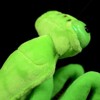 FRANKIEZHOU Simulation Green Chinese Mantis Plush,Mantis Stuffed Animal, Plush Toy,Soft