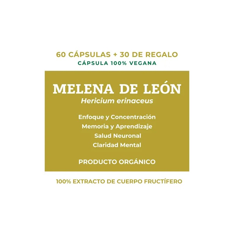 Lions Mane Melena De León Hongo Memoria Y Enfoqu 370