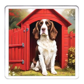 Springer Spaniel Dog Coaster Set. 4 different Springer Spaniel Dog Pictures on 10cm x 10cm Acrylic Coasters. Boxed Coaster Drip Mat Set.