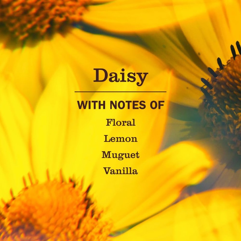 MRS. MEYER'S CLEAN DAY Liquid Hand Soap, Daisy, 12.5 OZ