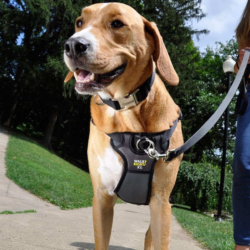 Coastal Pet Walk Right Front-Connect No-Pull Padded Dog Harness -