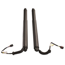 GELUOXI 2PCS Rear Left and Right Liftgate Power Lift Cylinder Struts Replacement for Nissan Murano Sport Utility 3.5L V6 2015-2019 905615AA0B 905605AA2A