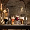 Luigi Bormioli Birrateque 18.25 oz IPA Beer Glasses (Set of