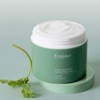 Preeju 프레쥬 l+l 오리지날 허브 자연약쑥 진정 수분크림 100ml PREGU
