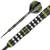 WINMAU Michael van Gerwen MvG Assault Tungsten Steeltip Darts Set