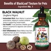 BlackLeaf Tincture for Pets - 2 Pack