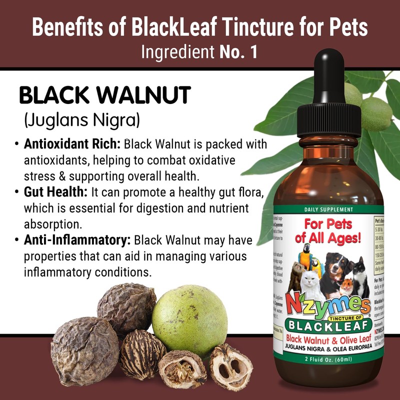 BlackLeaf Tincture for Pets - 2 Pack