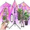 yentbokj Grow Lights for Indoor Plants,5 Heads Red Blue White