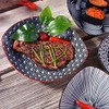 BOSILI Porcelain Dinner Plate Set of 4 Large Japanese Plates