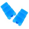 Totority 2 Pcs Breastmilk Bottle Ice Pack Ice Box Cooler