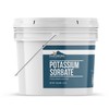 Earthborn Elements Earthborn Elements Potassium Sorbate 1 Gallon, Additive &