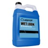 Nanoskin WET LOOK All Season Dressing 1 Gallon - Exterior