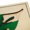 Elite Montessori Leaf Puzzles Toy for Preschool Early Child Development