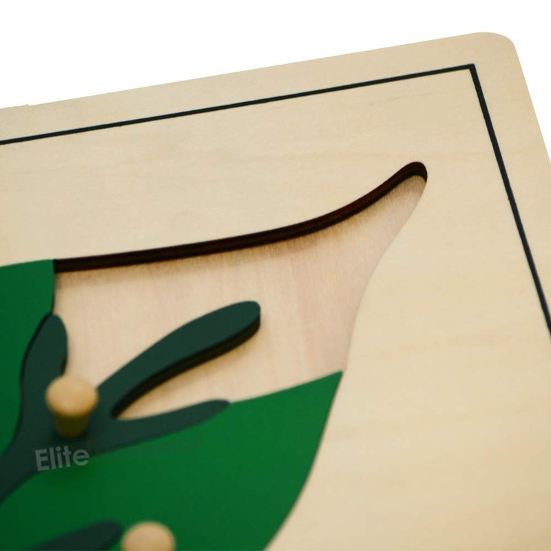 Elite Montessori Leaf Puzzles Toy for Preschool Early Child Development