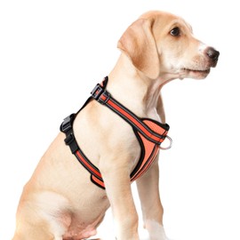 Wisedog Ajustable Mesh Breathable Dog Harness - Reflective Webbing, Lightweight No Pull Harness with 3 Fast-Release Buckles for Dogs Walking, Running and Outdoor Adventures, Orange M