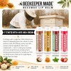 Beeswax Lip Balm 4 Pack | Honey, Peppermint, Coconut &