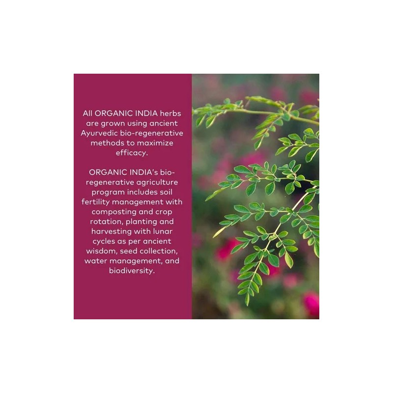 Shatavari 800mg 90 Cpsulas Organic India Hormonal Sin Sabor Vegano