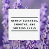 Herbal Essences Jojoba Oil Lavender Curls Shampoo