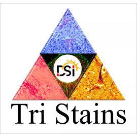 TriStain-Dawn Scientific Potassium Hydroxide, 20% KOH, for Skin Fungal Preps, 15ml Dropper Vial