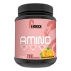 Aminoácidos En Polvo Flamish 1kg 200servicios Varios Sabores