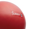 Sunny Health & Fitness Premium Pilates Ball 9” | Anti-Burst