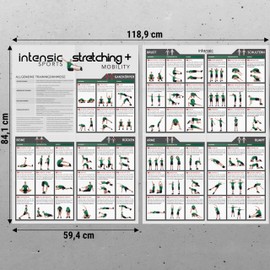 intensic SPORTS Stretching + Mobility Poster | 60 Fitness Exercises for Stretching and Mobilising I More Mobility Without Device for Gym Home Bodyweight Home Workout Training Plan Sports Poster