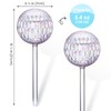 Tomorotec Glass Plant Self Watering Globes 2-Pack Pearl Luster Clear