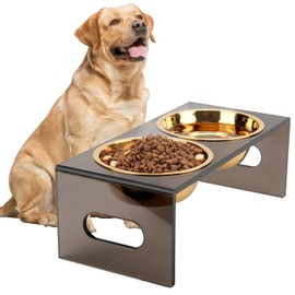 Acrylic Elevated Dog Bowls Stand 5.9" Tall Pet Feeder Comes with 2 Removable Stainless Steel Bowls for Medium and Large Dogs, Raised Dog Bowl Pet Feeding Station, Durable Puppy Bowl