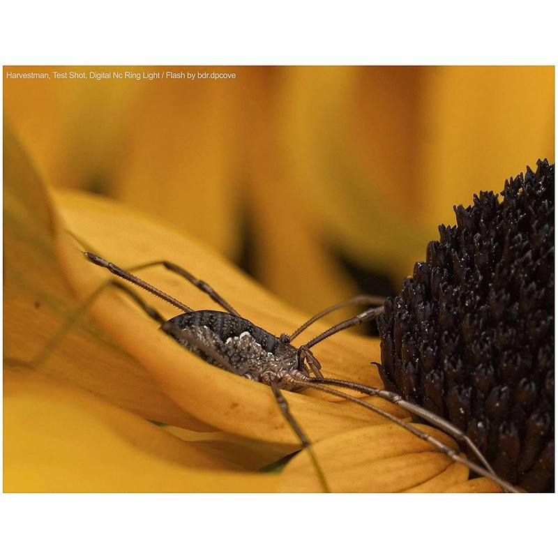 Dual Macro LED Ring Light/Flash Compatible with Canon EOS Rebel