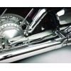 Show Chrome Accessories 63-215 Swing Arm Cover