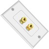 Tunghey 2Pack Gold Plated Speaker Wall Plate, Banana Plug for