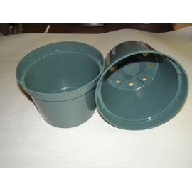 Green Plastic Azalea Pot. 6 in. 25 Pack