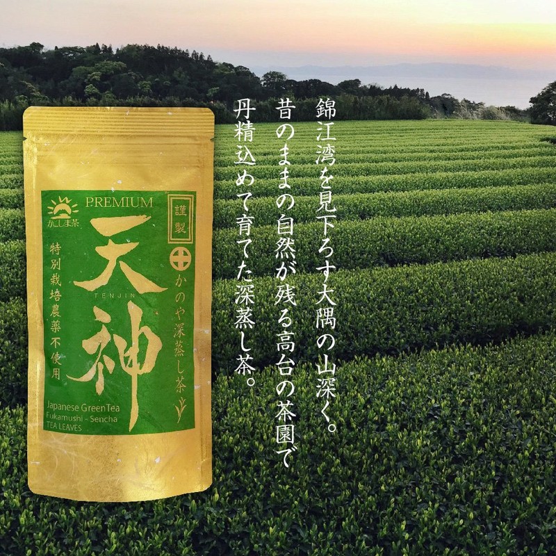 Kanoya Deep Steamed Tea Tenjin (Tenjin) 3.5 oz (100 g),